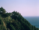    2,5      33-        Big Sur    
