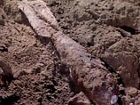 В пятницу около 18 часов в полицию обратился экскаваторщик строительной фирмы и сообщил о том, что при раскопке котлована на Ленинградском шоссе в районе дома 47 был обнаружен предмет, похожий на авиационную бомбу