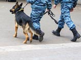 Транспортная полиция Московской области с помощью кинологов пытается поймать злоумышленника, устроившего железнодорожную катастрофу. Перед этим подозреваемый угнал электропоезд, на котором и врезался в другой состав, стоящий на путях.