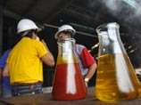 Россия не планирует вводить никаких регуляторных ограничений на импорт пальмового масла. Об этом, как передает РИА "Новости", заявил глава Минэкономразвития Алексей Улюкаев в кулуарах форума "Россия - АСЕАН" в Сочи