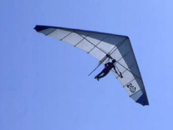    lelouron.com