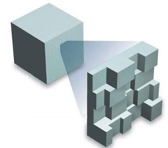   -  ,    NewScientist.com