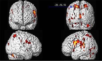 - ,    www2.uibk.ac.at