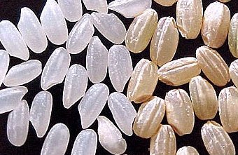 ���, ���� � ����� waynesword.palomar.edu