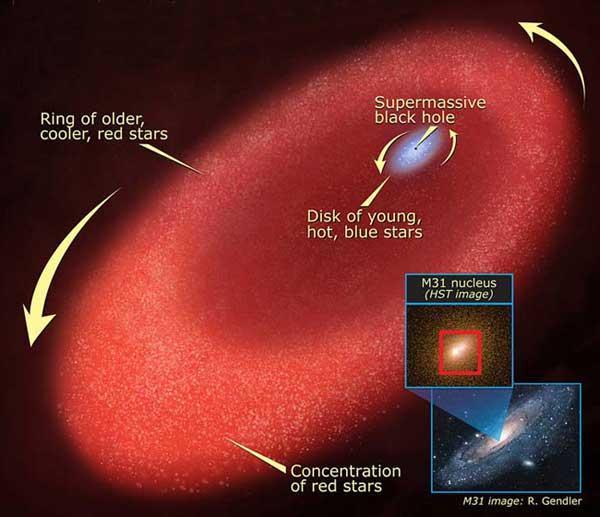       ,    newscientist.com