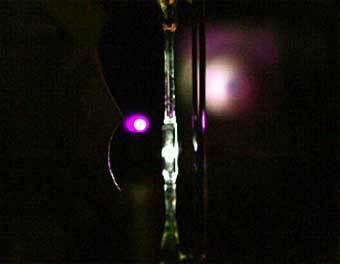             .    www.livescience.com