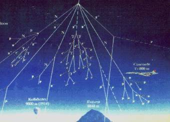    ,    lyoinfo.in2p3.fr