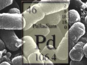  Escherichia Coli,    ifremer.fr