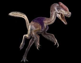Guanlong wucaii,    independent.co.uk