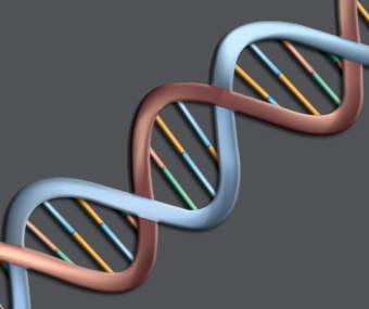   ,    microbiology.scu.edu.tw