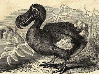 ,    davidreilly.com