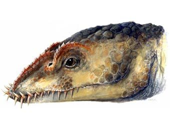 Umoonasaurus.    news.com.au