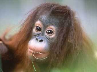 ���� Urlaubfuerkinder.de