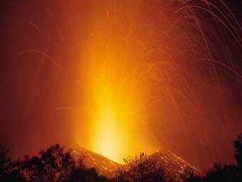 ������������� ����. ����������� � ����� dipbot.unict.it.