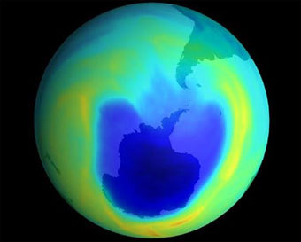 �������� ���� ��� �����������. ����������� � ����� Yenra.com.