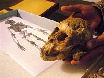 ����� �������-�������� �����. ���� AFP