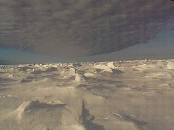 �������. ���� � ����� aari.ru. 