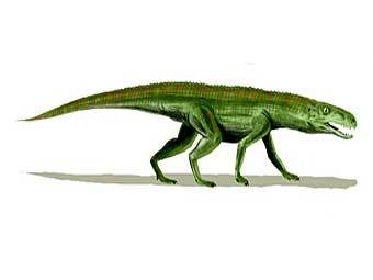     Gracilisuchus,    Crurotarsi.   ArthurWeasley   wikipedia.org