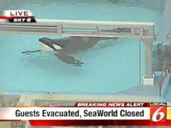    Sea World.   Local 6