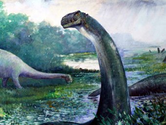   .  Cerda/Naturwissenschaften