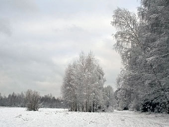  .    birdsmoscow.net.ru