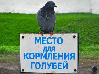 Фото с сайта pechori.ru