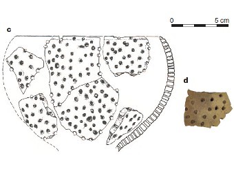        .    Salque et al., Nature, 2012