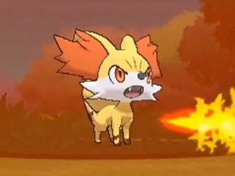 Fennekin. Скриншот трейлера Pokemon X & Y