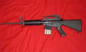  Bushmaster XM15.    GunsAmerica